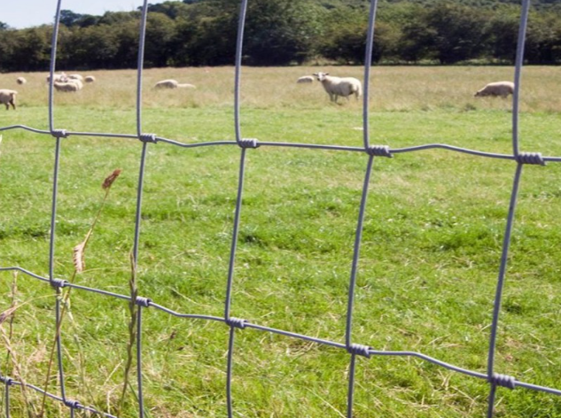 High-Tensile Hinge Joint Field Fence for Farms & Ranches