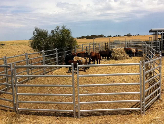 Welded Livestock Panels