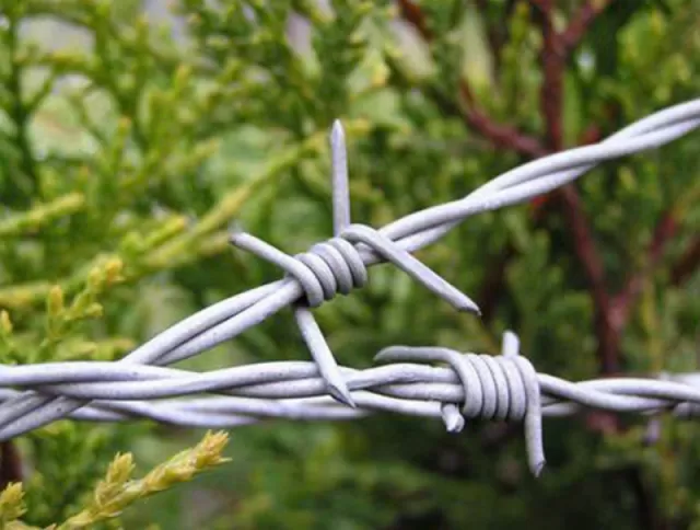 Galvanized or PVC Coated Barbed wire