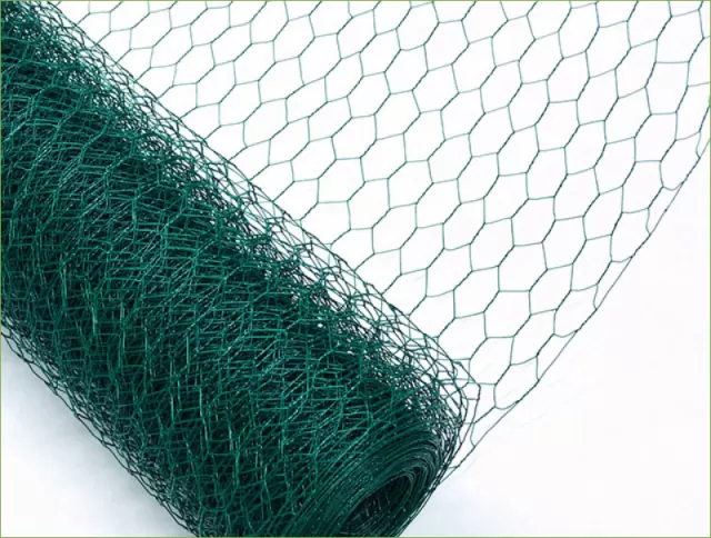 Hexagonal Wire Netting