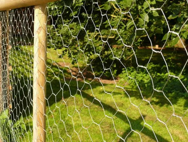 Hexagonal Wire Netting