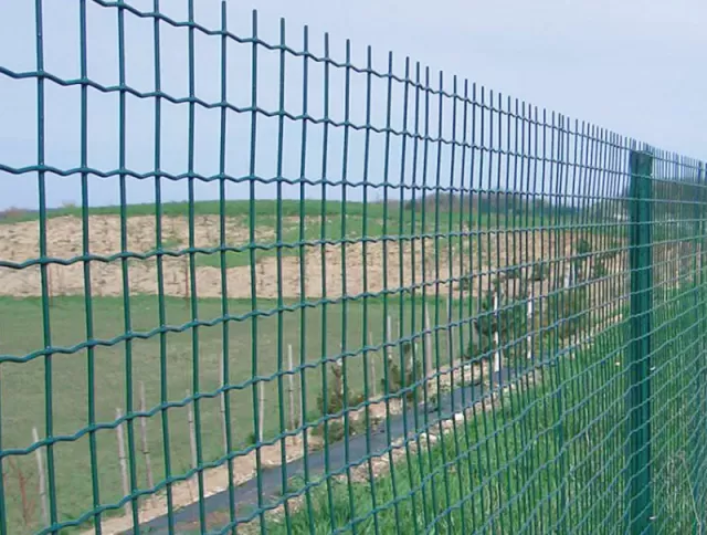 Euro Panel Fence