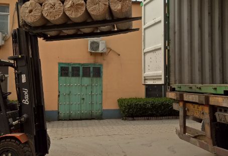 Galvanized Welded Mesh Roll Galvanized Welded Mesh Roll