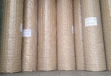 Galvanized Welded Mesh Roll Galvanized Welded Mesh Roll