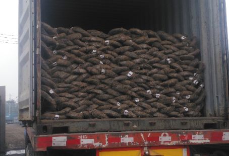 Black Annealed Wire