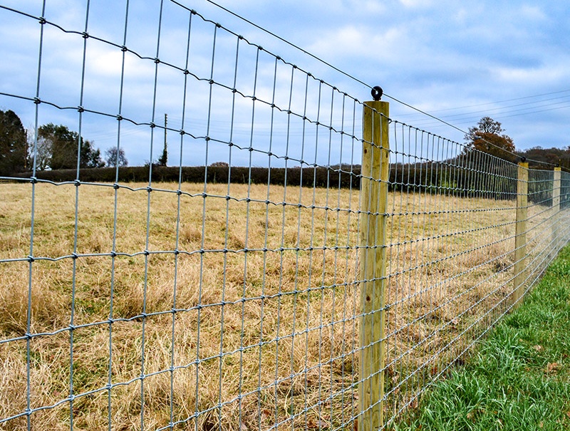 Horse Fence