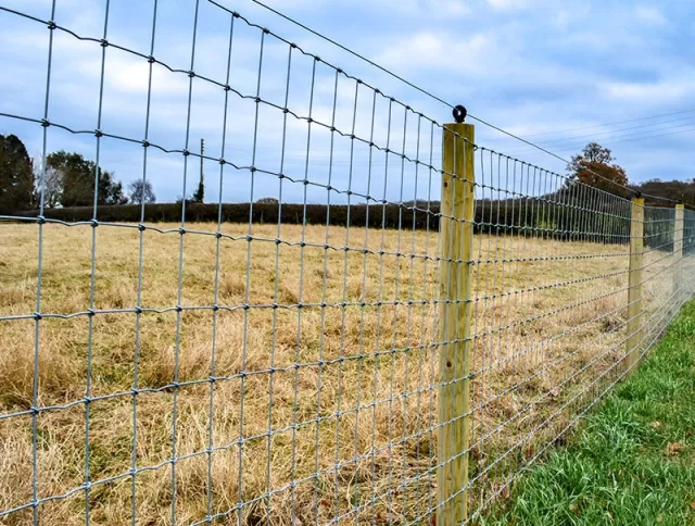Horse Fence