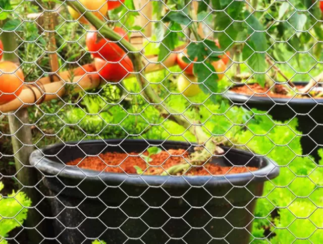 Hexagonal Wire Mesh Solutions