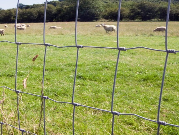Farm Fencing Buying Guide